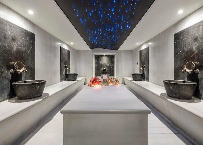 Ramada Plaza By Wyndham Tekstilkent Hotel Estambul