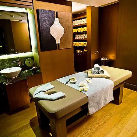 ホテル Ramada Plaza By Wyndham Tekstilkent