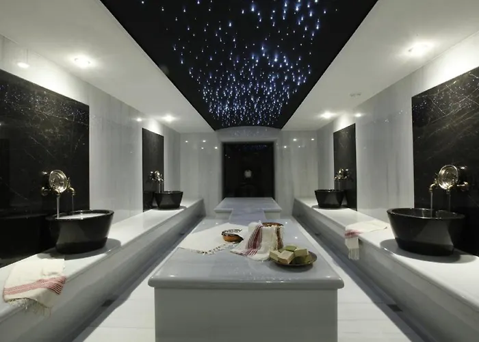 Ramada Plaza By Wyndham Tekstilkent Отель 5*